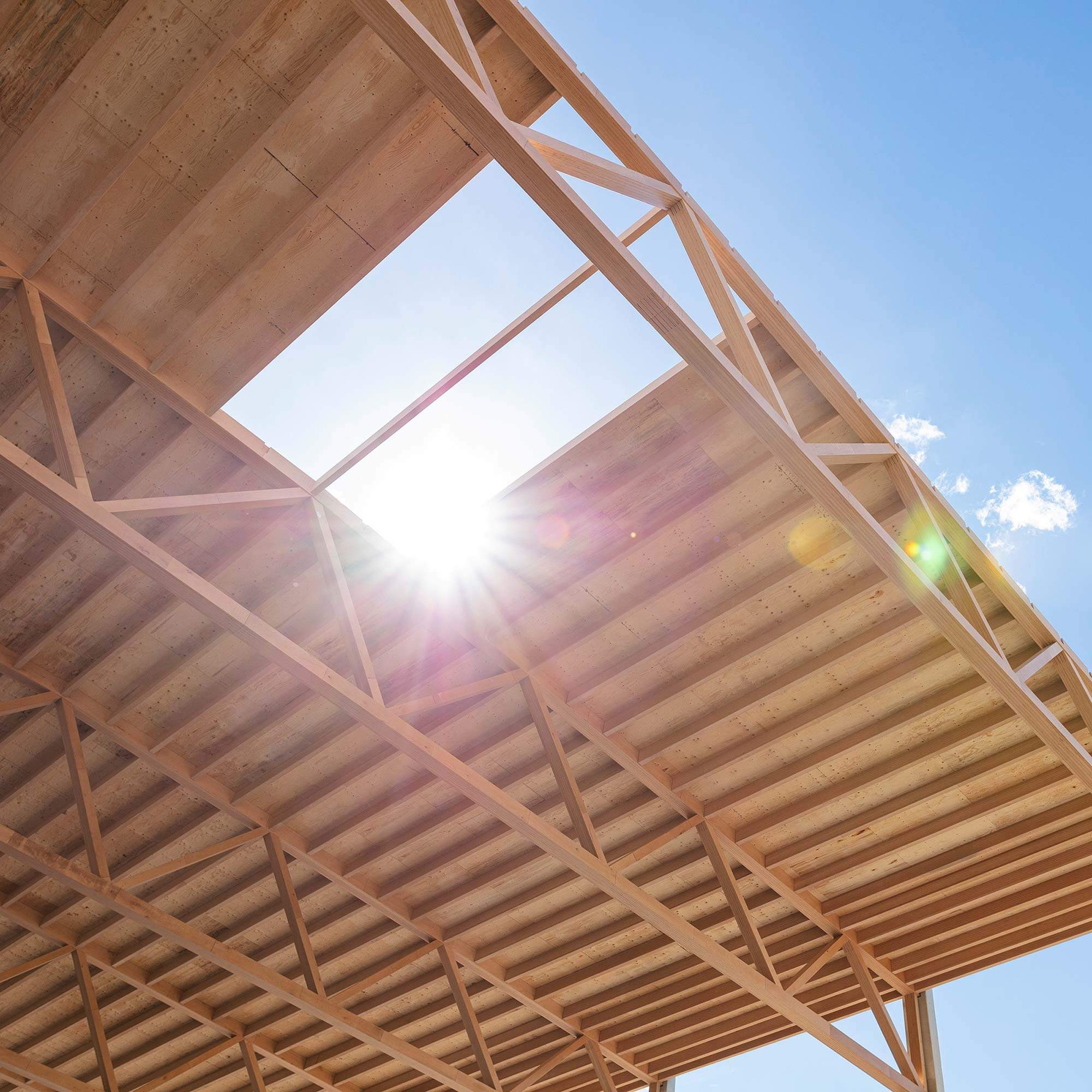 Baustelle Holzkonstruktion mit Gegenlicht und blauem Himmel