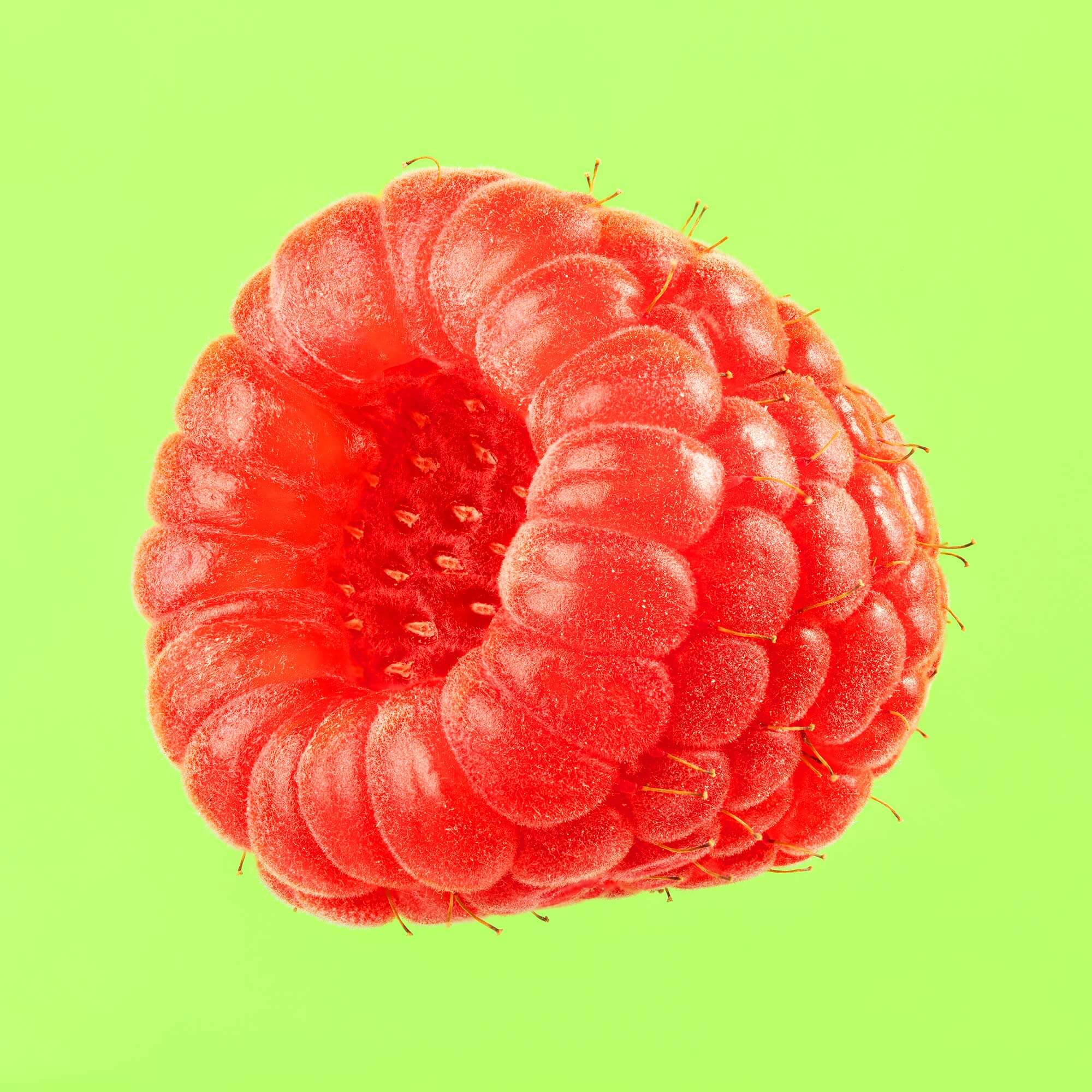 Rote Himbeere vor grünem Hintergrund