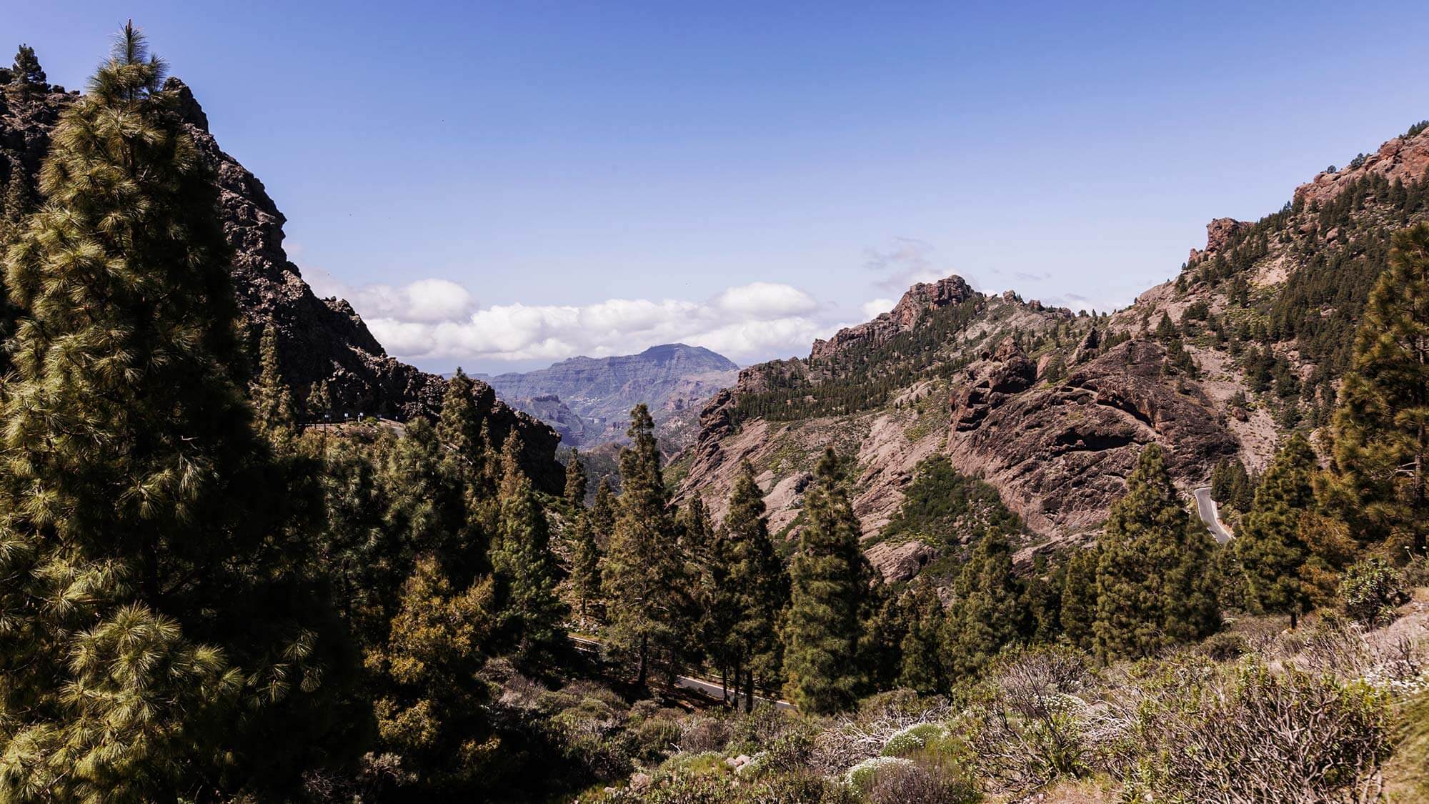 landscape-berge-baeume