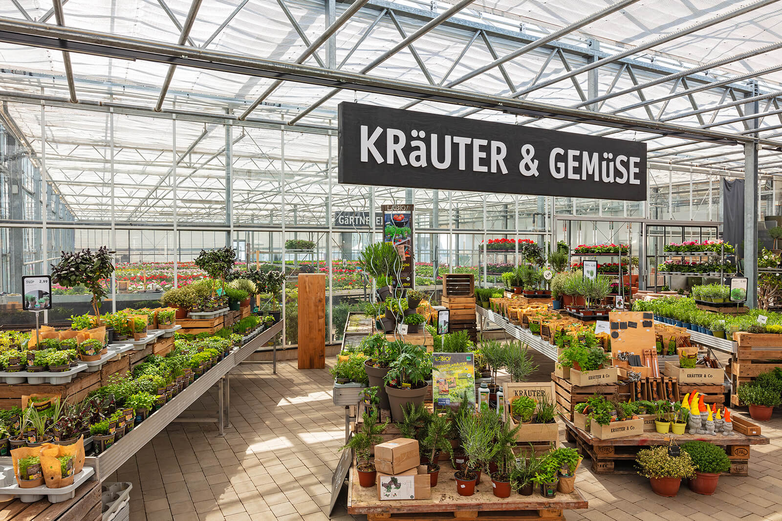 Innenaufnahme Glaskonstruktion mit Kräutern und Gemüse