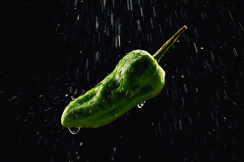 Pimientos mit Wasserspritzer als Gif vor schwarzem Hintergrund