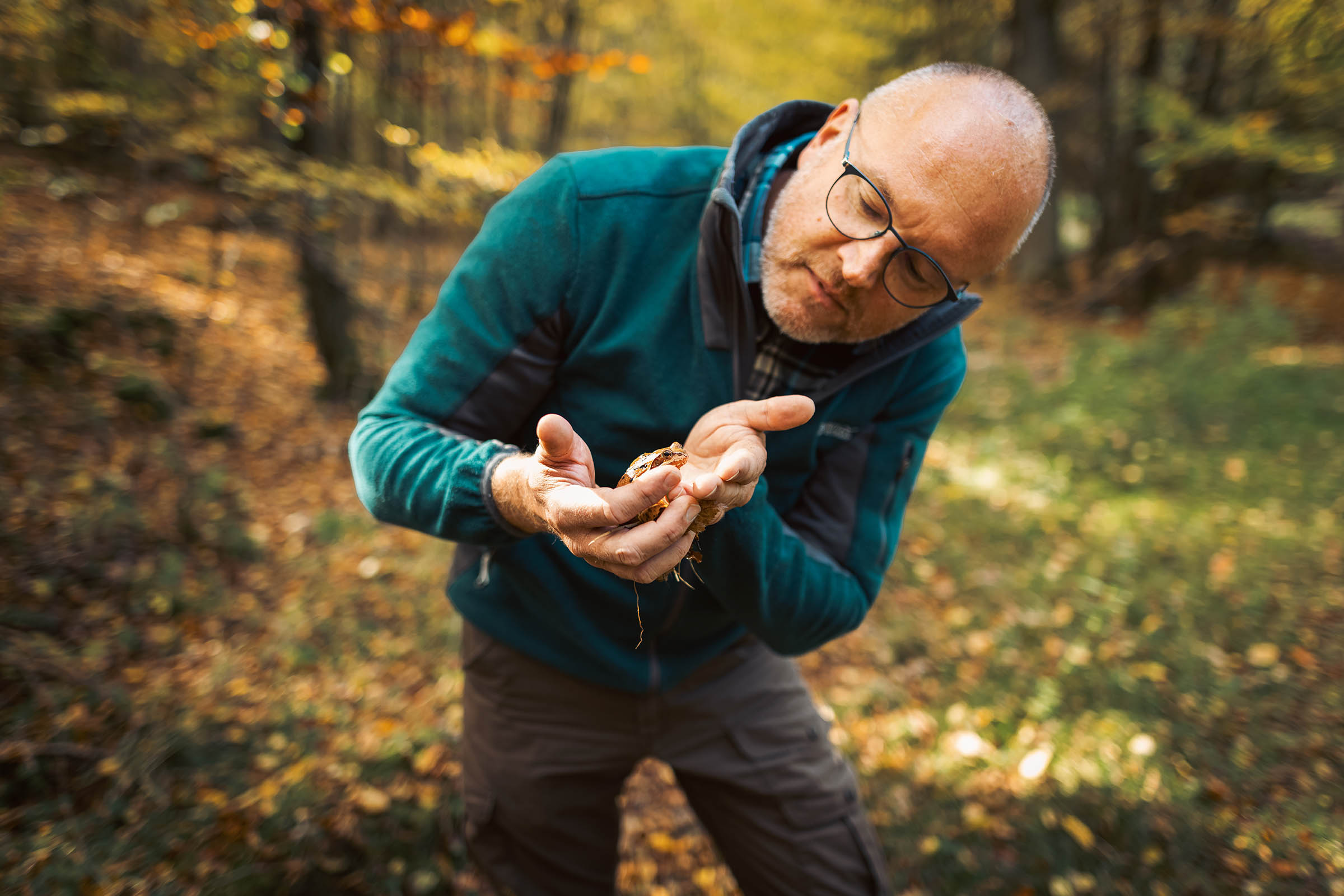 Waldpädagoge hält Kröte in den Händen im Wald