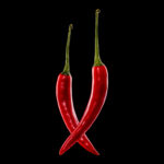 Zwei rote Chilischoten vor schwarzem Hintergrund in einer Foodfotografie.